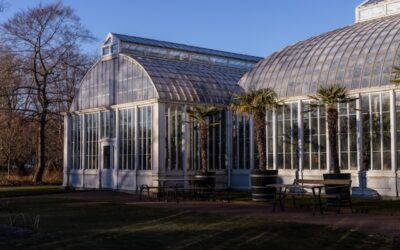 maisons en verre