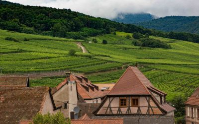 Immersion totale : explorez la France autrement