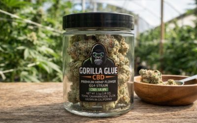 Gorilla Glue CBD