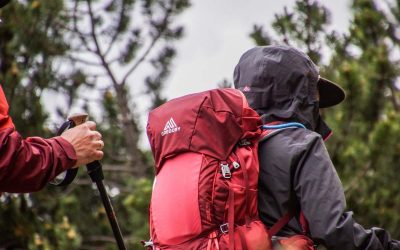 Deux randonneurs en forêt, sacs à dos rouges, bâtons de marche, vêtements de pluie